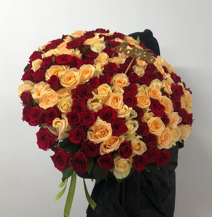 151 красная и персиковая розы 50/60 см под ленту