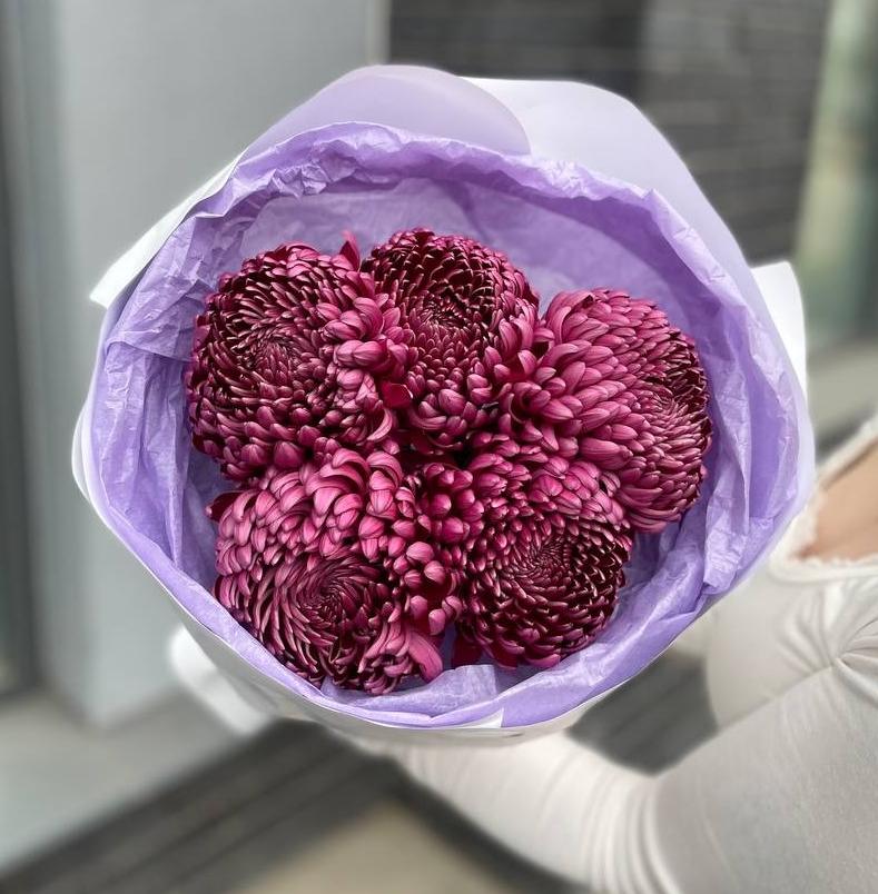 Букет из 5 фиолетовых премиальных хризантем