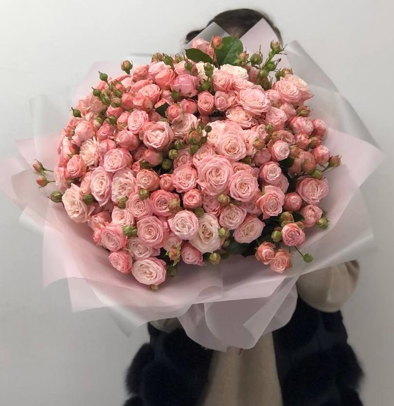 51 клубничная пионовидная кустовая роза