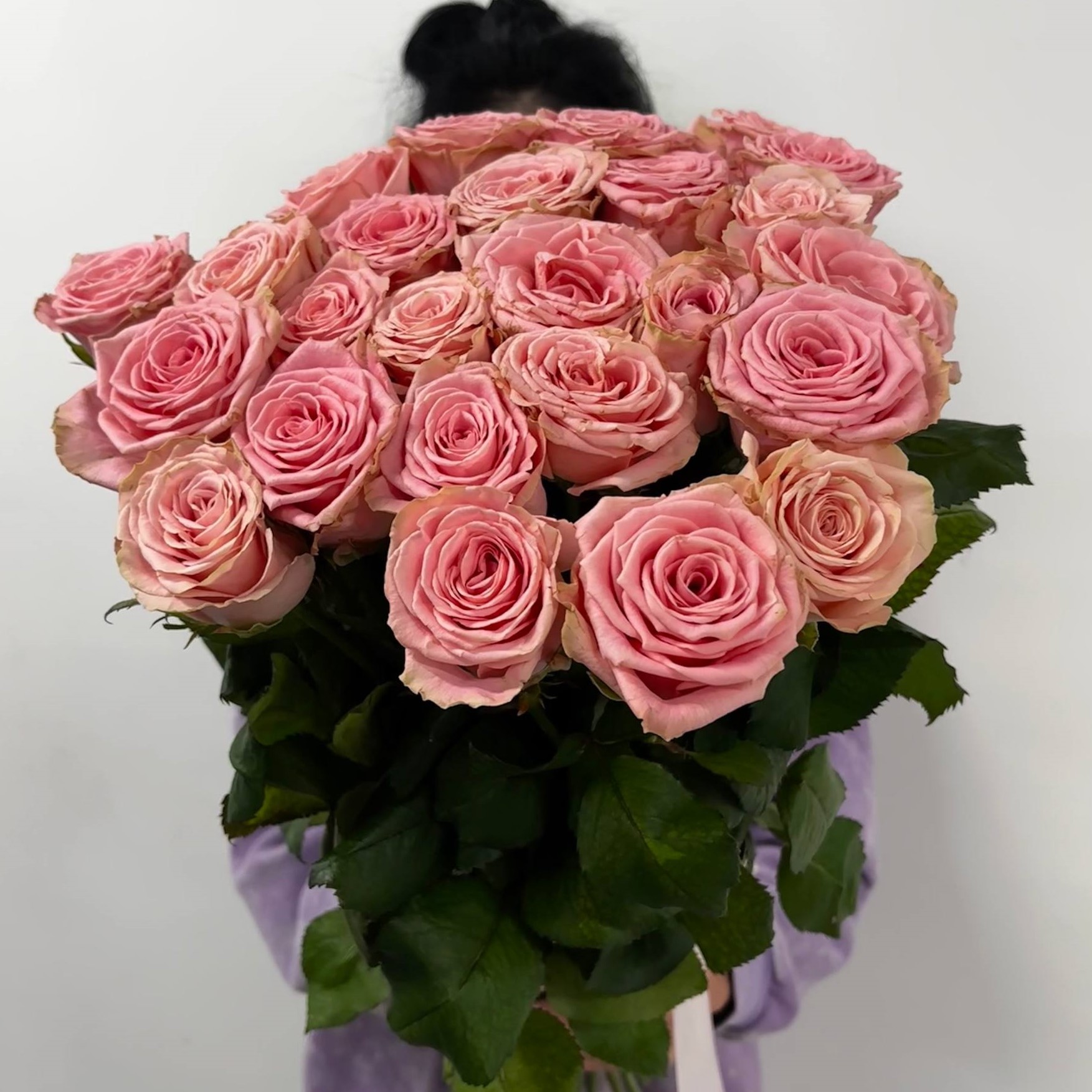 25 розовых роз 70/80 см под ленту