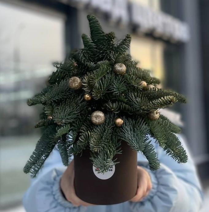 Новогодняя ёлочка "Чудо"