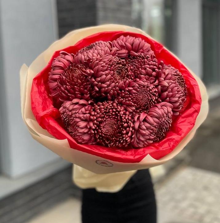 Букет из 11 бордовых премиальных хризантем