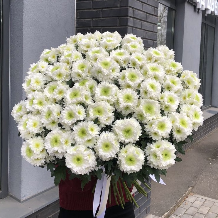 Букет из 51 хризантемы Россия