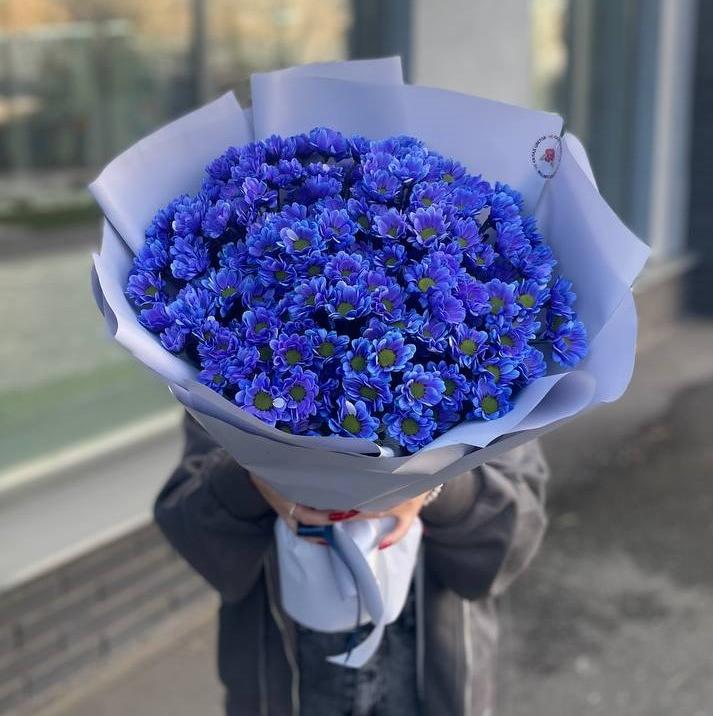Букет из 21 синей хризантемы сантини