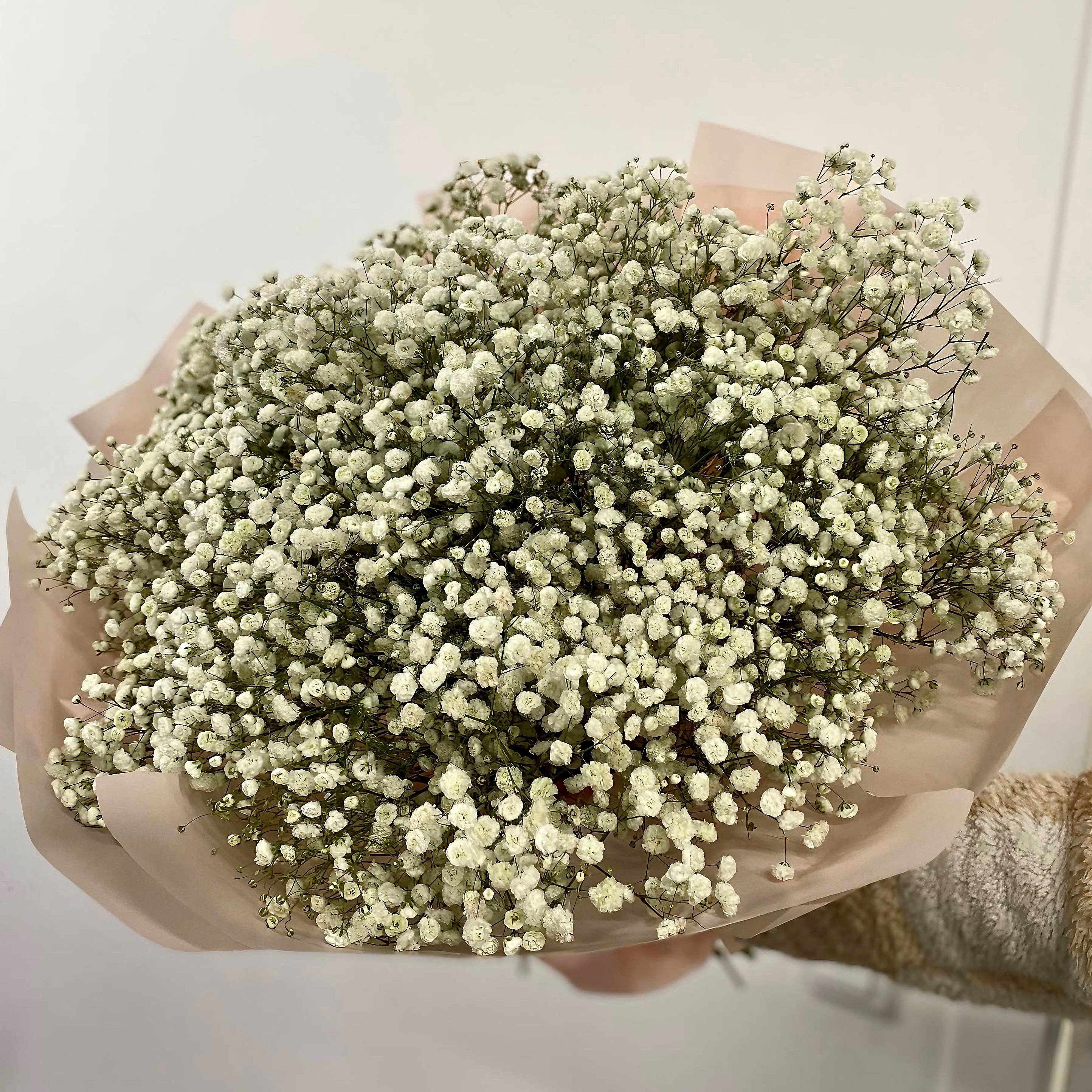 Букет из 13 белых гипсофил