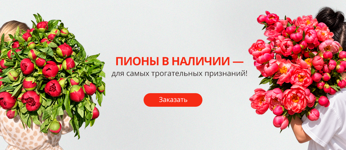 Пионы 10.2026