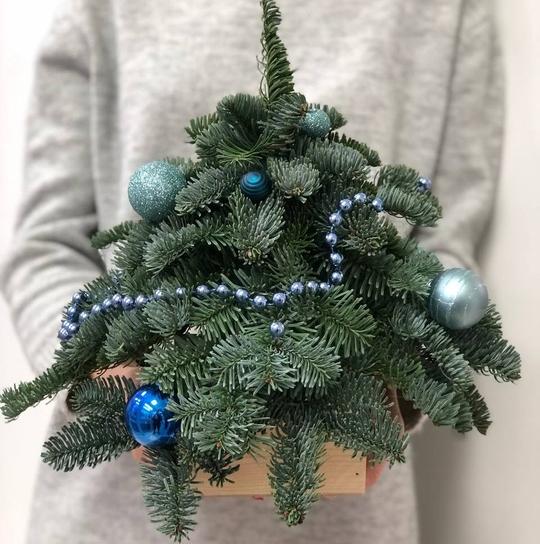 Композиция "Лесная красавица"