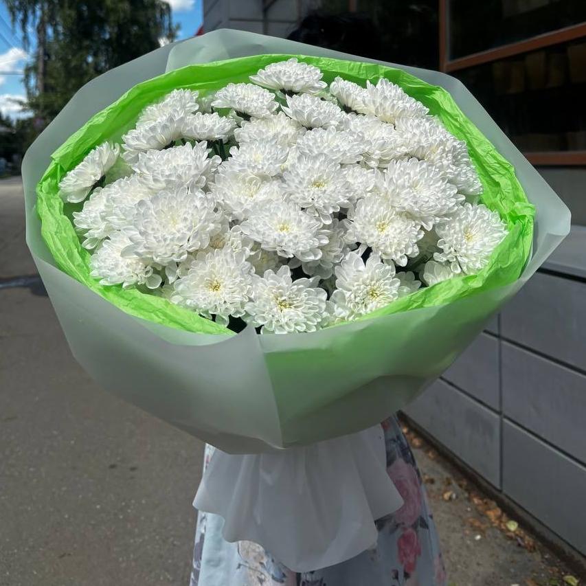 Букет из 15 белых махровых хризантем