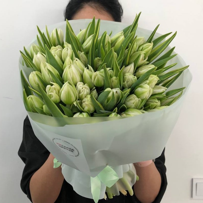 51 белый пионовидный тюльпан