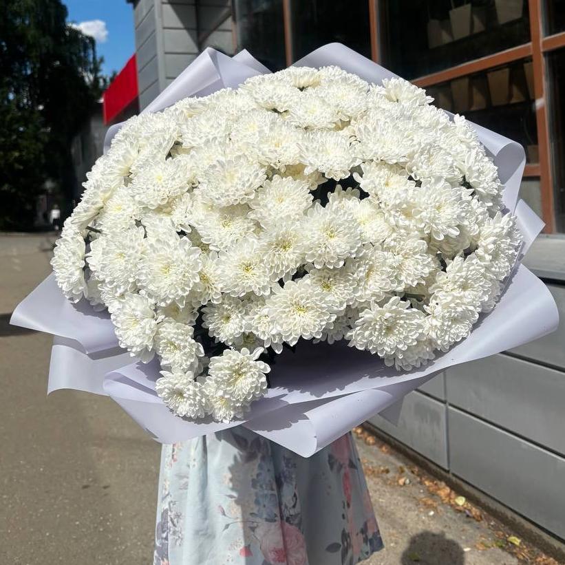 Букет из 25 белых махровых хризантем