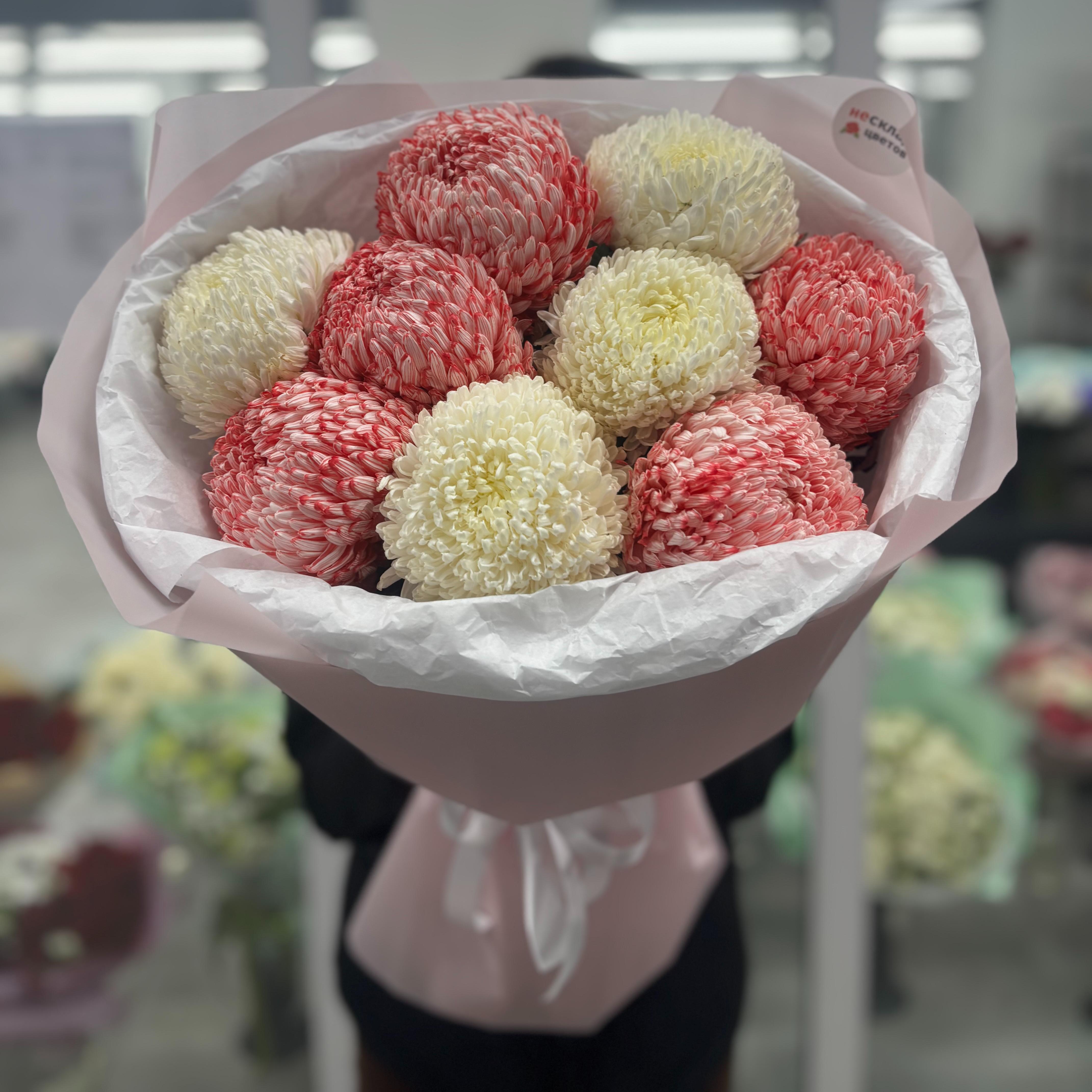 Букет "9 красных и белых одноголовых хризантем премиум"