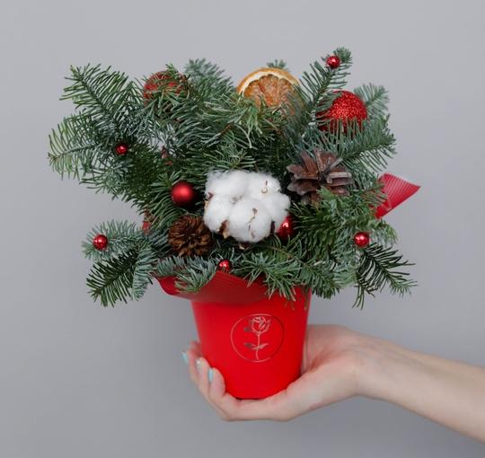 Композиция "Новогодний комплимент №1"