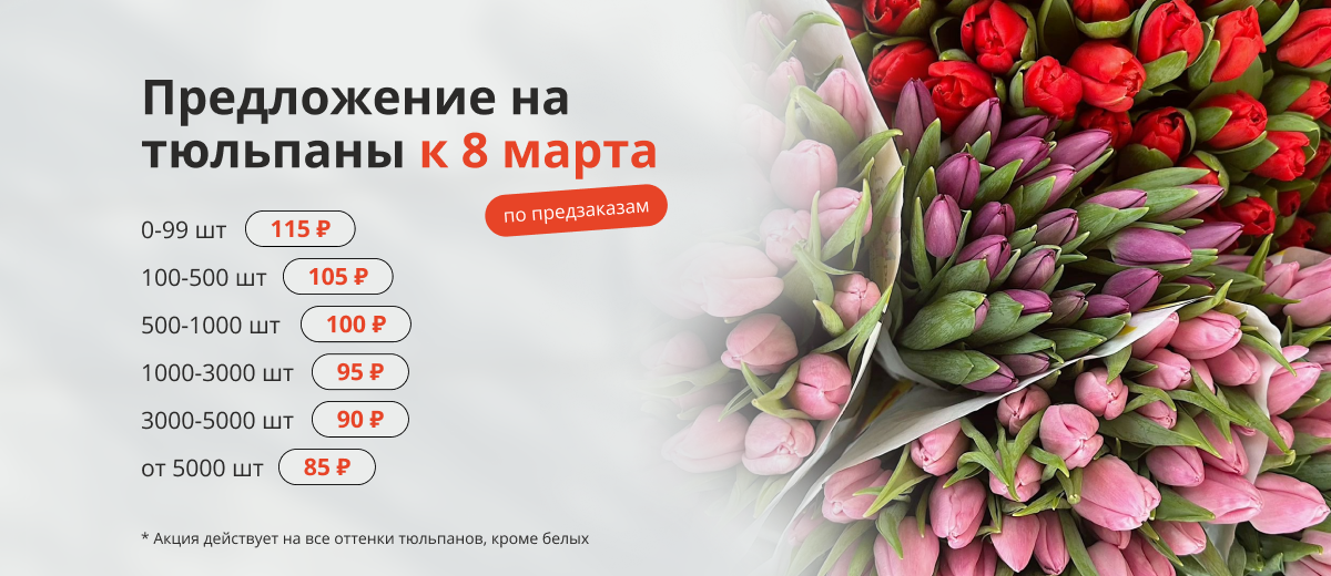 тюльпаны оптом